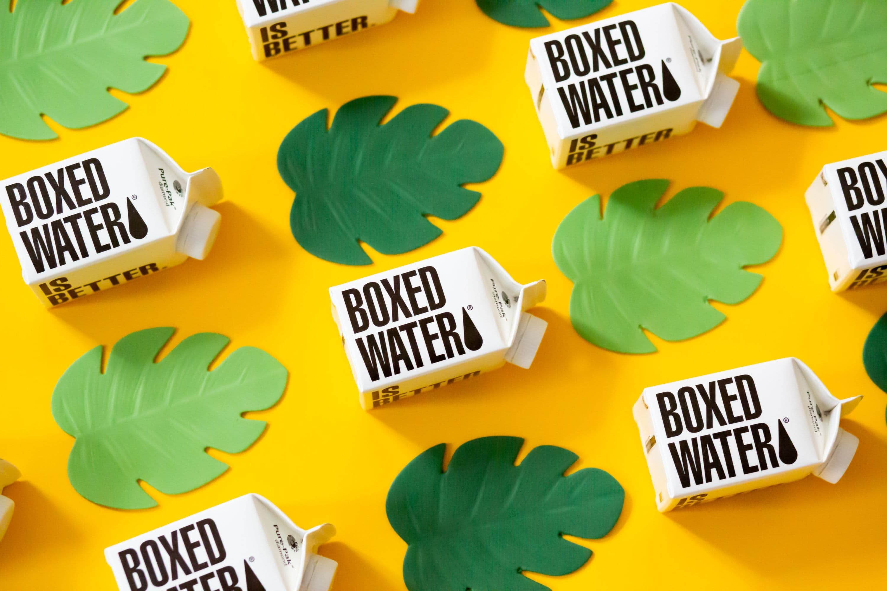 Enter the Future of Packaging