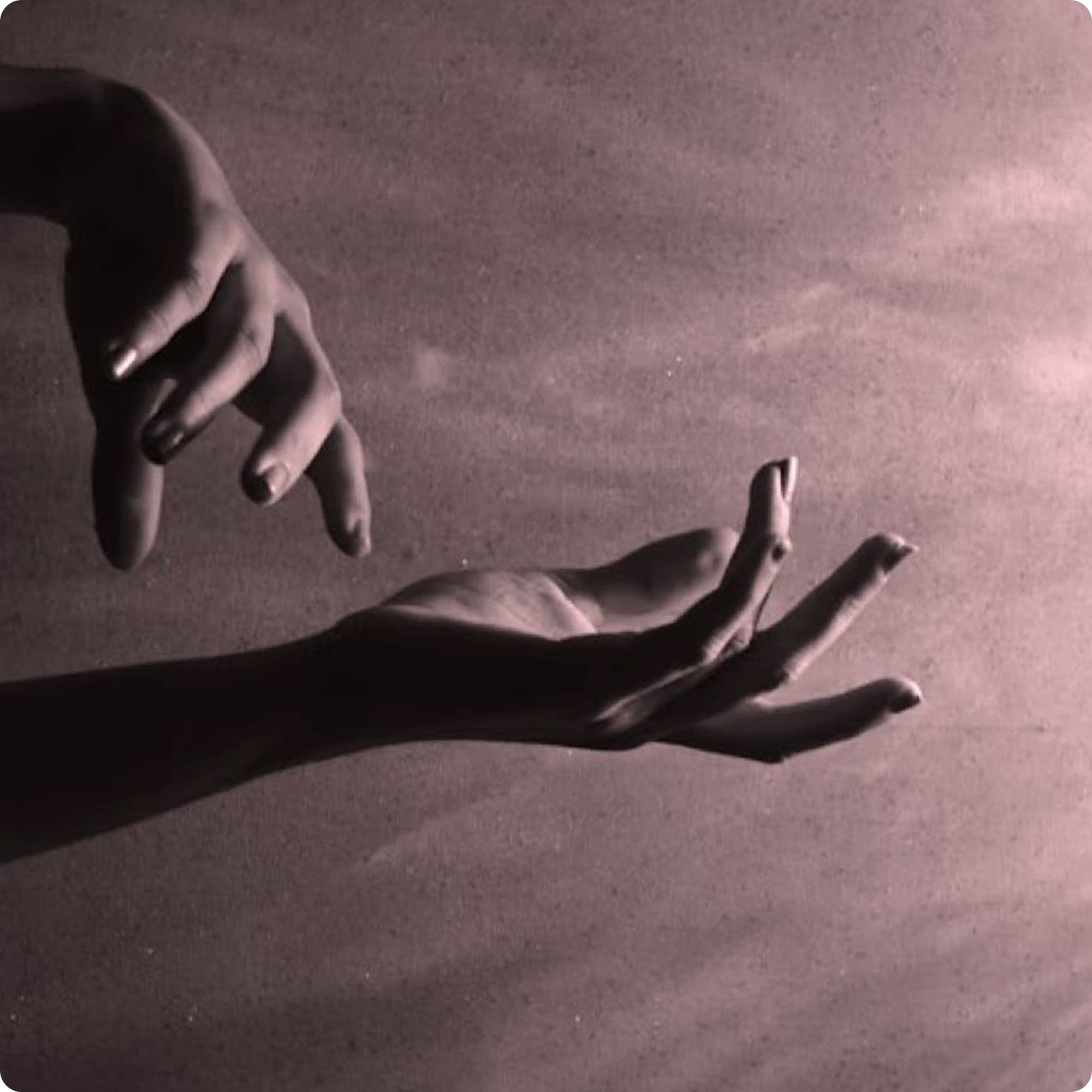 Somatic Intelligence: The Body Is Becoming Culture’s New Authority